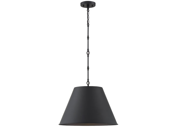 Alden 1-Light Pendant in Matte Black