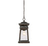 Taylor 1-Light Outdoor Hanging Lantern in English Bronze with Gold