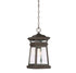 Taylor 1-Light Outdoor Hanging Lantern in English Bronze with Gold