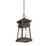 Taylor 1-Light Outdoor Hanging Lantern in English Bronze with Gold
