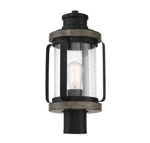 Parker 1-Light Outdoor Post Lantern in Lodge