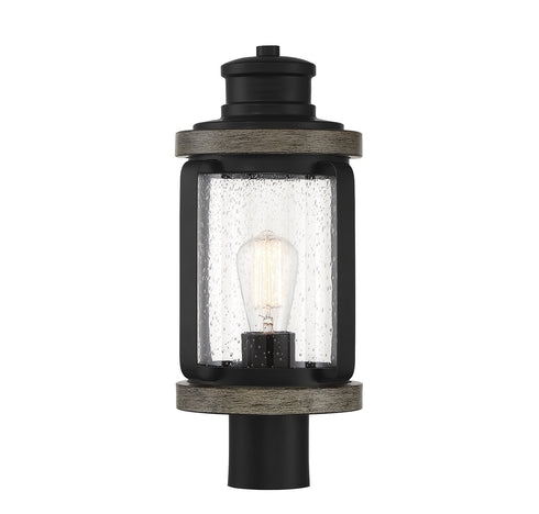 Parker 1-Light Outdoor Post Lantern in Lodge