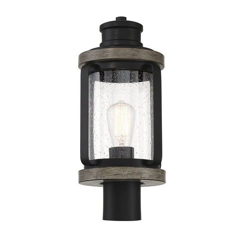 Parker 1-Light Outdoor Post Lantern in Lodge