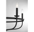 5-Light Chandelier in Matte Black
