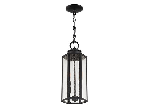 Hawthorne 2-Light Outdoor Hanging Lantern in Black