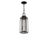Hawthorne 2-Light Outdoor Hanging Lantern in Black