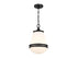 Endura 1-Light Pendant in Satin Nickel