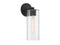 Ricci 1-Light Wall Sconce in Matte Black