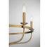 5-Light Chandelier in Matte Black
