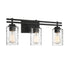 Baxter 3-Light Bathroom Vanity Light in Black