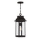 Drexel 1-Light Outdoor Hanging Lantern in English Bronze