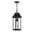 Drexel 1-Light Outdoor Hanging Lantern in English Bronze