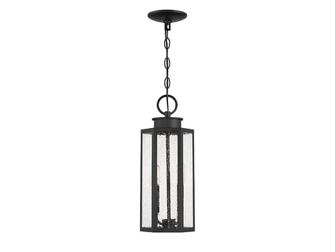 Hawthorne 2-Light Outdoor Hanging Lantern in Black
