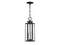 Hawthorne 2-Light Outdoor Hanging Lantern in Black