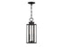 Hawthorne 2-Light Outdoor Hanging Lantern in Black