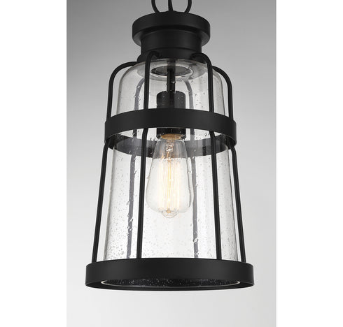 Quinton 1-Light Outdoor Hanging Lantern in Matte Black
