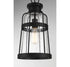Quinton 1-Light Outdoor Hanging Lantern in Matte Black