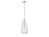 Adair 1-Light Pendant in Polished Nickel