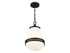 Endura 1-Light Pendant in Satin Nickel