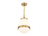 Endura 1-Light Pendant in Satin Nickel