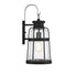 Quinton 1-Light Large Outdoor Wall Lantern in Matte Black