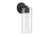 Ricci 1-Light Wall Sconce in Matte Black