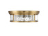 Ashton 4-Light Ceiling Light in Matte Black