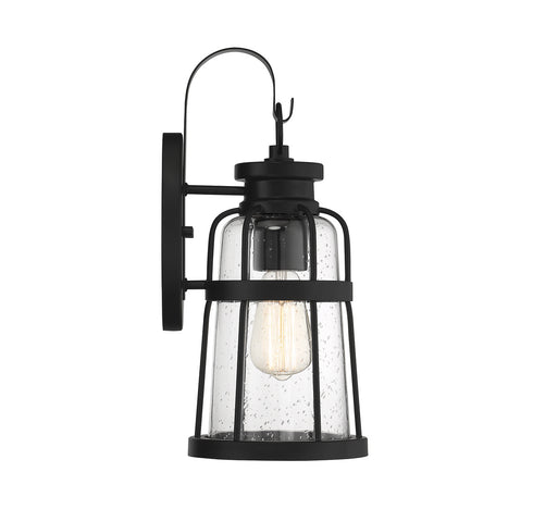 Quinton 1-Light Medium Outdoor Wall Lantern in Matte Black