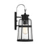Quinton 1-Light Medium Outdoor Wall Lantern in Matte Black