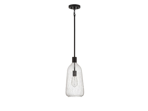 Adair 1-Light Pendant in Polished Nickel