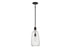 Adair 1-Light Pendant in Polished Nickel