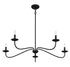 5-Light Chandelier in Matte Black