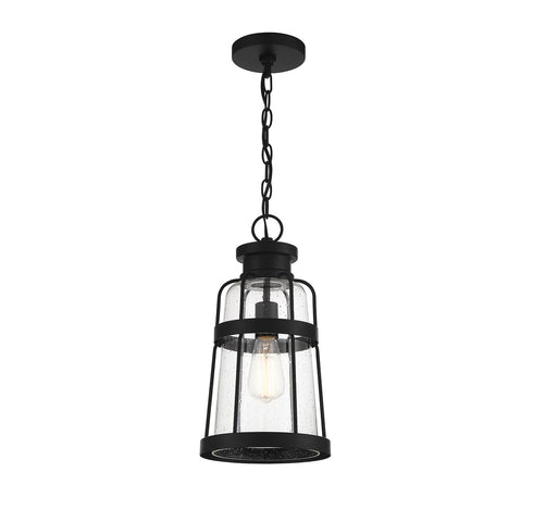 Quinton 1-Light Outdoor Hanging Lantern in Matte Black