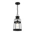 Quinton 1-Light Outdoor Hanging Lantern in Matte Black
