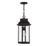 Drexel 1-Light Outdoor Hanging Lantern in English Bronze
