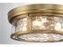 Ashton 4-Light Ceiling Light in Matte Black