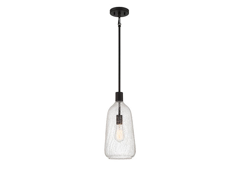 Adair 1-Light Pendant in Polished Nickel