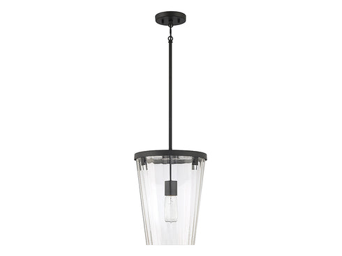 Dimond 1-Light Pendant in Matte Black