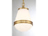 Endura 1-Light Pendant in Satin Nickel