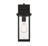 Drexel 1-Light Small Outdoor Wall Lantern in English Bronze
