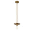 1-Light Mini Pendant in Polished Nickel