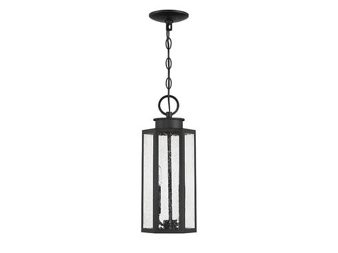 Hawthorne 2-Light Outdoor Hanging Lantern in Black