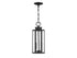 Hawthorne 2-Light Outdoor Hanging Lantern in Black