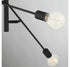 6-Light Chandelier in Natural Brass