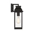 Drexel 1-Light Small Outdoor Wall Lantern in English Bronze