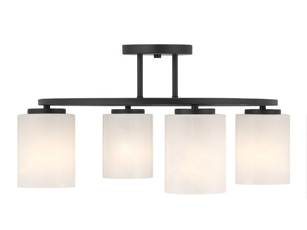 Herron 4-Light Ceiling Light in Matte Black
