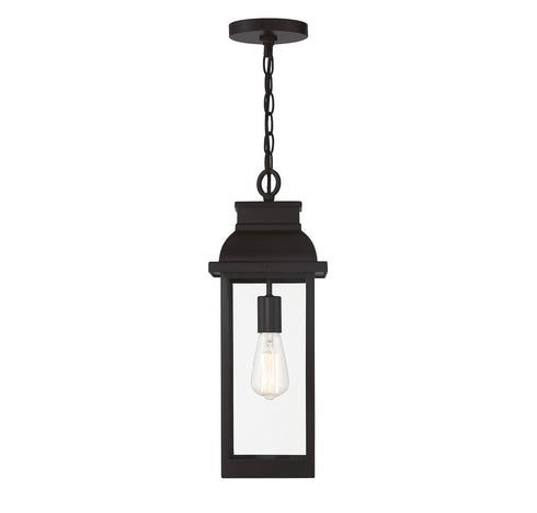 Drexel 1-Light Outdoor Hanging Lantern in English Bronze