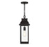 Drexel 1-Light Outdoor Hanging Lantern in English Bronze