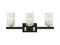 Keene 3-Light Bathroom Vanity Light in Matte Black with Warm Brass Accents