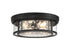 Ashton 4-Light Ceiling Light in Matte Black